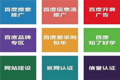 某品牌SEM推广代运营的实践与效果评估